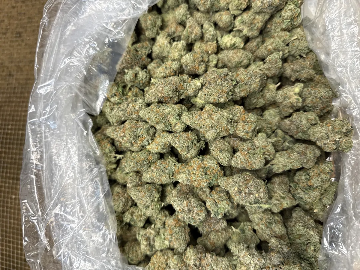 Full Gas Flower